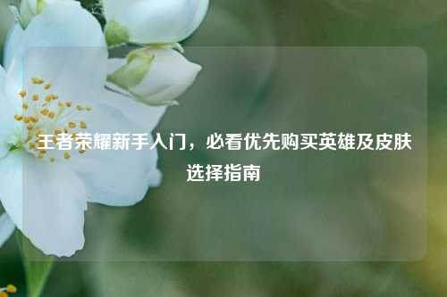 王者荣耀新手入门,必看优先购买英雄及皮肤选择指南