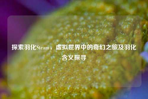 探索羽化Steam,虚拟世界中的奇幻之旅及羽化含义探寻