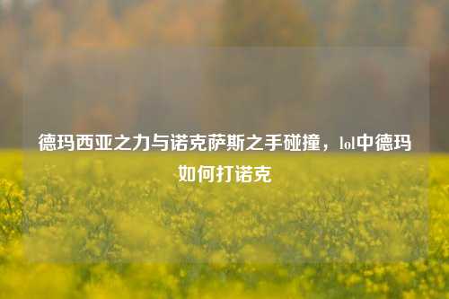 德玛西亚之力与诺克萨斯之手碰撞，lol中德玛如何打诺克