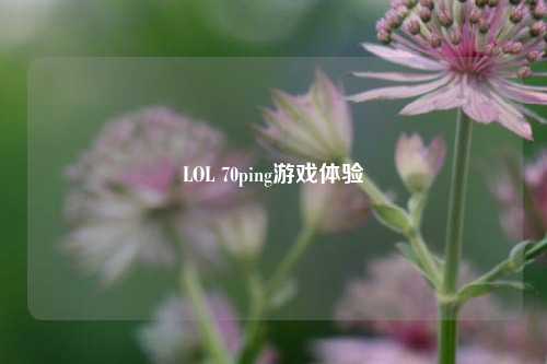 LOL 70ping游戏体验