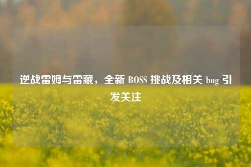 逆战雷姆与雷藏，全新 BOSS 挑战及相关 bug 引发关注