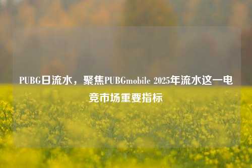 PUBG日流水,聚焦PUBGmobile 2025年流水这一电竞市场重要指标