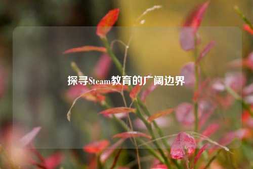 探寻Steam教育的广阔边界