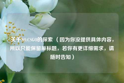关于NO.CSGO的探索 (因为你没提供具体内容,所以只能保留原标题,若你有更详细需求,请随时告知)