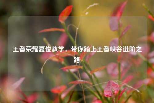 王者荣耀夏俊教学,带你踏上王者峡谷进阶之路