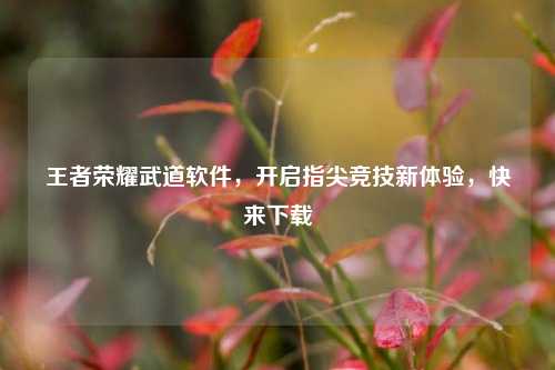 王者荣耀武道软件,开启指尖竞技新体验,快来下载
