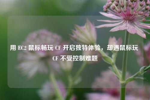 用 EC2 鼠标畅玩 CF 开启独特体验,却遇鼠标玩 CF 不受控制难题