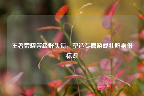 王者荣耀等级群头衔,塑造专属游戏社群身份标识