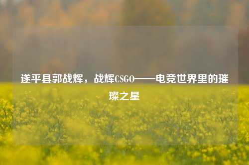 遂平县郭战辉,战辉CSGO——电竞世界里的璀璨之星