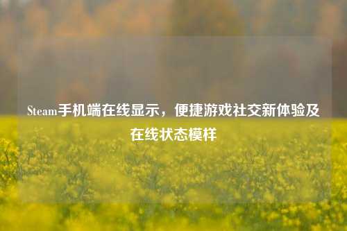 Steam手机端在线显示,便捷游戏社交新体验及在线状态模样