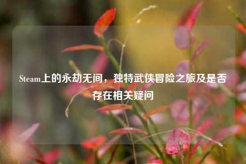 Steam上的永劫无间,独特武侠冒险之旅及是否存在相关疑问