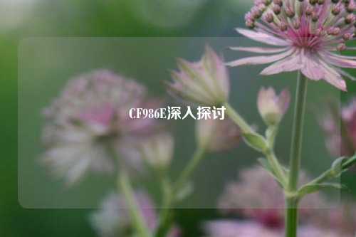 CF986E深入探讨