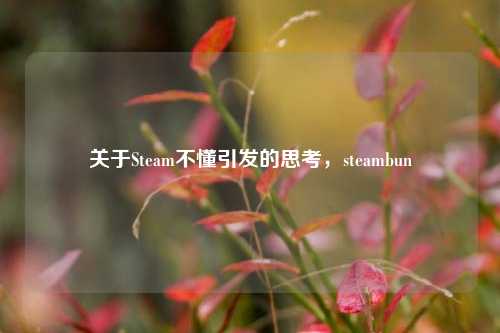 关于Steam不懂引发的思考,steambun