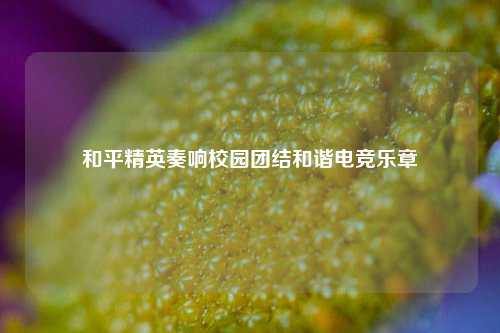 和平精英奏响校园团结和谐电竞乐章