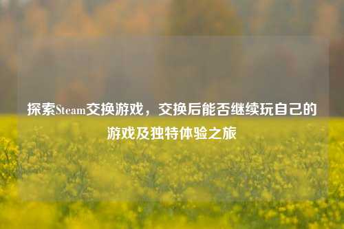 探索Steam交换游戏，交换后能否继续玩自己的游戏及独特体验之旅