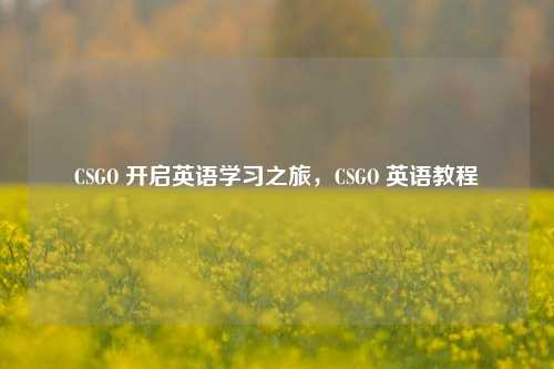 CSGO 开启英语学习之旅,CSGO 英语教程