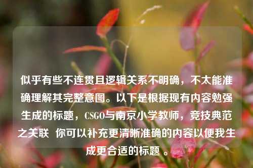 似乎有些不连贯且逻辑关系不明确，不太能准确理解其完整意图。以下是根据现有内容勉强生成的标题，CSGO与南京小学教师，竞技典范之关联  你可以补充更清晰准确的内容以便我生成更合适的标题 。