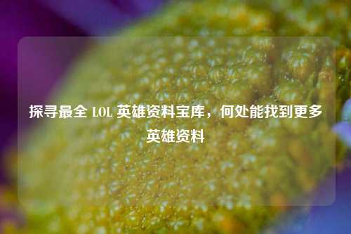 探寻最全 LOL 英雄资料宝库,何处能找到更多英雄资料