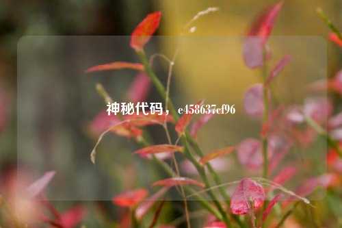 神秘代码,e458637cf96