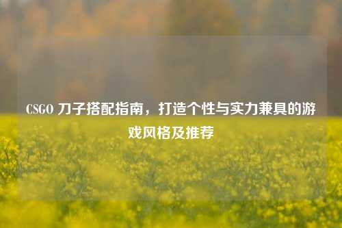 CSGO 刀子搭配指南,打造个性与实力兼具的游戏风格及推荐
