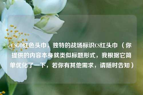 CSGO红色头巾，独特的战场标识CS红头巾 （你提供的内容本身就类似标题形式，我根据它简单优化了一下，若你有其他需求，请随时告知）