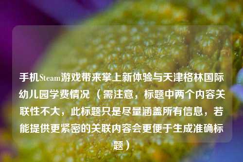手机Steam游戏带来掌上新体验与天津格林国际幼儿园学费情况 （需注意，标题中两个内容关联性不大，此标题只是尽量涵盖所有信息，若能提供更紧密的关联内容会更便于生成准确标题）