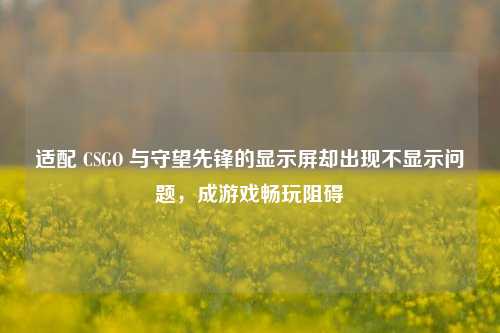 适配 CSGO 与守望先锋的显示屏却出现不显示问题,成游戏畅玩阻碍