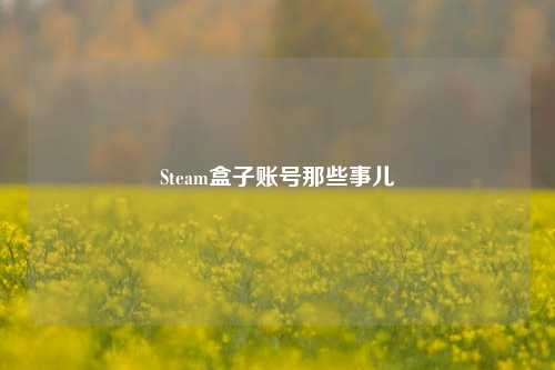 Steam盒子账号那些事儿