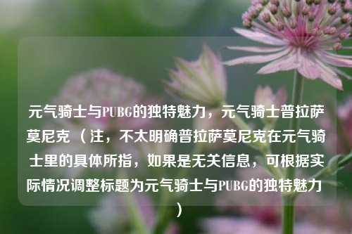 元气骑士与PUBG的独特魅力，元气骑士普拉萨莫尼克 （注，不太明确普拉萨莫尼克在元气骑士里的具体所指，如果是无关信息，可根据实际情况调整标题为元气骑士与PUBG的独特魅力 ）