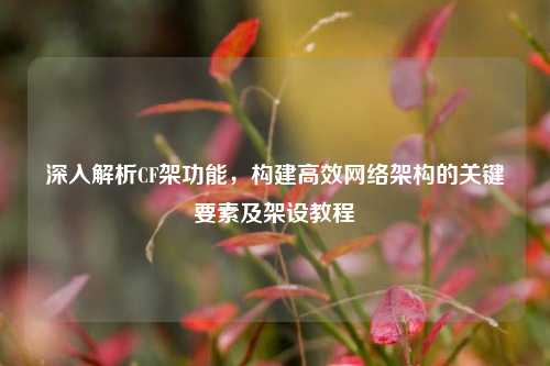深入解析CF架功能,构建高效网络架构的关键要素及架设教程