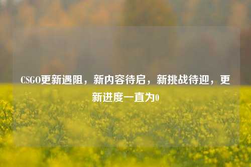 CSGO更新遇阻，新内容待启，新挑战待迎，更新进度一直为0