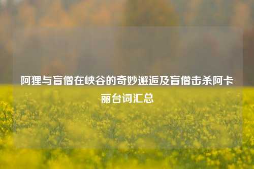 阿狸与盲僧在峡谷的奇妙邂逅及盲僧击杀阿卡丽台词汇总