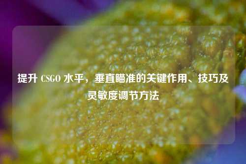 提升 CSGO 水平,垂直瞄准的关键作用、技巧及灵敏度调节方法