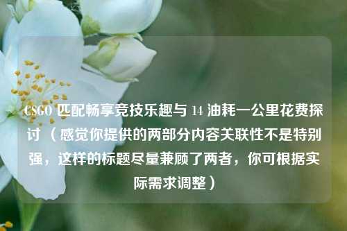 CSGO 匹配畅享竞技乐趣与 14 油耗一公里花费探讨 （感觉你提供的两部分内容关联性不是特别强，这样的标题尽量兼顾了两者，你可根据实际需求调整）