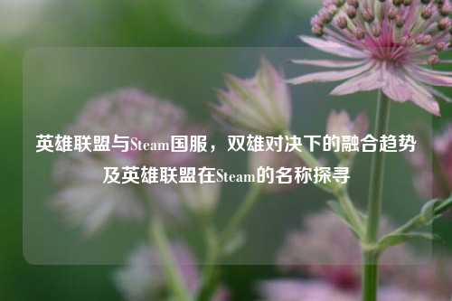 英雄联盟与Steam国服，双雄对决下的融合趋势及英雄联盟在Steam的名称探寻