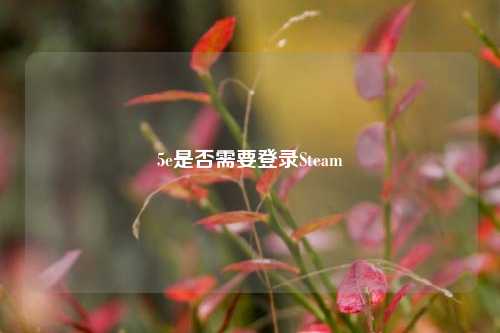 5e是否需要登录Steam