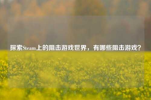 探索Steam上的阻击游戏世界,有哪些阻击游戏?