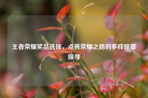 王者荣耀奖品选择,点亮荣耀之路的多样惊喜探寻