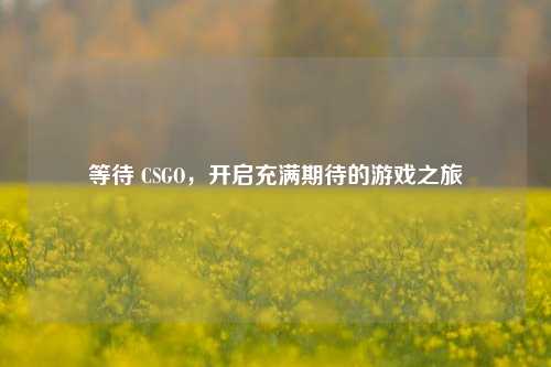 等待 CSGO,开启充满期待的游戏之旅