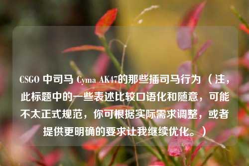 CSGO 中司马 Cyma AK47的那些插司马行为 (注,此标题中的一些表述比较口语化和随意,可能不太正式规范,你可根据实际需求调整,或者提供更明确的要求让我继续优化。)