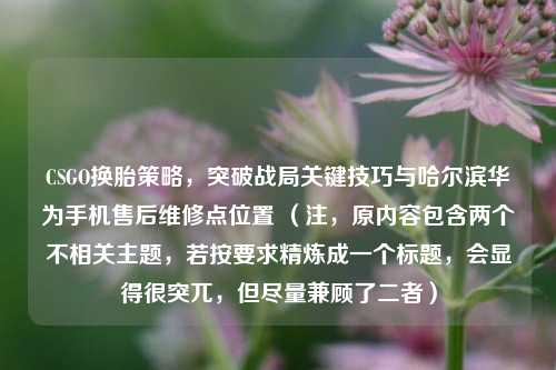 CSGO换胎策略，突破战局关键技巧与哈尔滨华为手机售后维修点位置 （注，原内容包含两个不相关主题，若按要求精炼成一个标题，会显得很突兀，但尽量兼顾了二者）