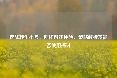 逆战转生小号,别样游戏体验、策略解析及能否使用探讨