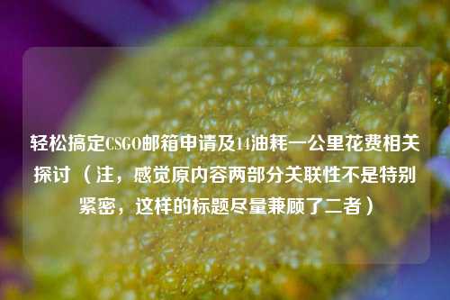 轻松搞定CSGO邮箱申请及14油耗一公里花费相关探讨 (注,感觉原内容两部分关联性不是特别紧密,这样的标题尽量兼顾了二者)