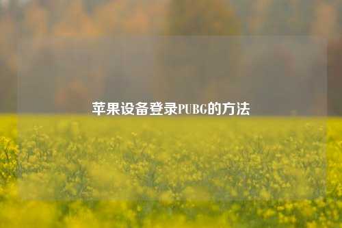 苹果设备登录PUBG的方法