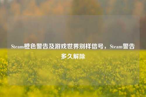Steam橙色警告及游戏世界别样信号,Steam警告多久解除