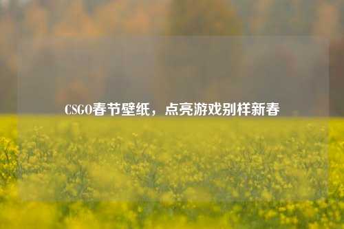 CSGO春节壁纸,点亮游戏别样新春