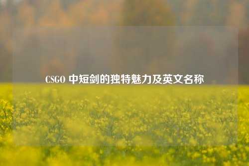 CSGO 中短剑的独特魅力及英文名称