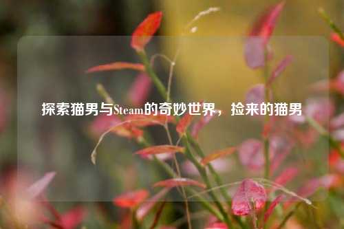 探索猫男与Steam的奇妙世界，捡来的猫男