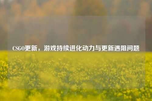 CSGO更新，游戏持续进化动力与更新遇阻问题