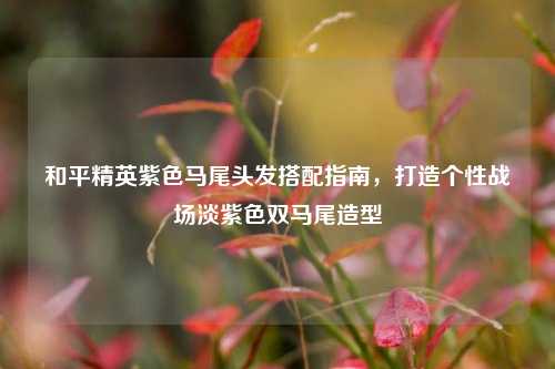 和平精英紫色马尾头发搭配指南,打造个性战场淡紫色双马尾造型